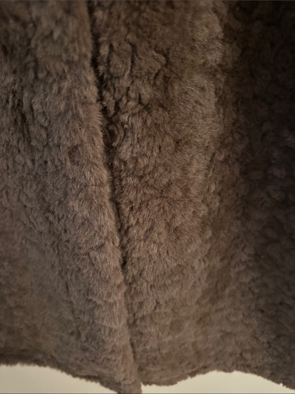 Sam Edelman Plush Brown Teddy Coat - Picture 5 of 5